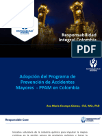 Contexto PPAM - Responsabilidad Integral Colombia