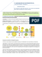 Digesti N y Absorci N de Nutrientes II