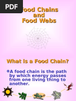 Food Chains and Food Webs