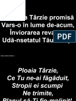 Ploaia Tarzie Promisa