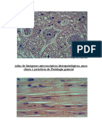 Martín A & Pijuan R (2009) Atlas de Imágenes Microscópicas Histopatológicas