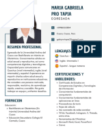 Curriculum Vitae Maria Gabriela Pro Tapia