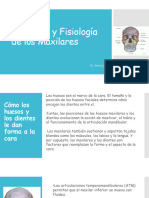 Anatomía y Fisiología de Los Maxilares: Dr. Boris López