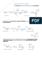 Metabolismo de La Fructosa en Musculo