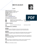 Curriculum Vitae Belen 1