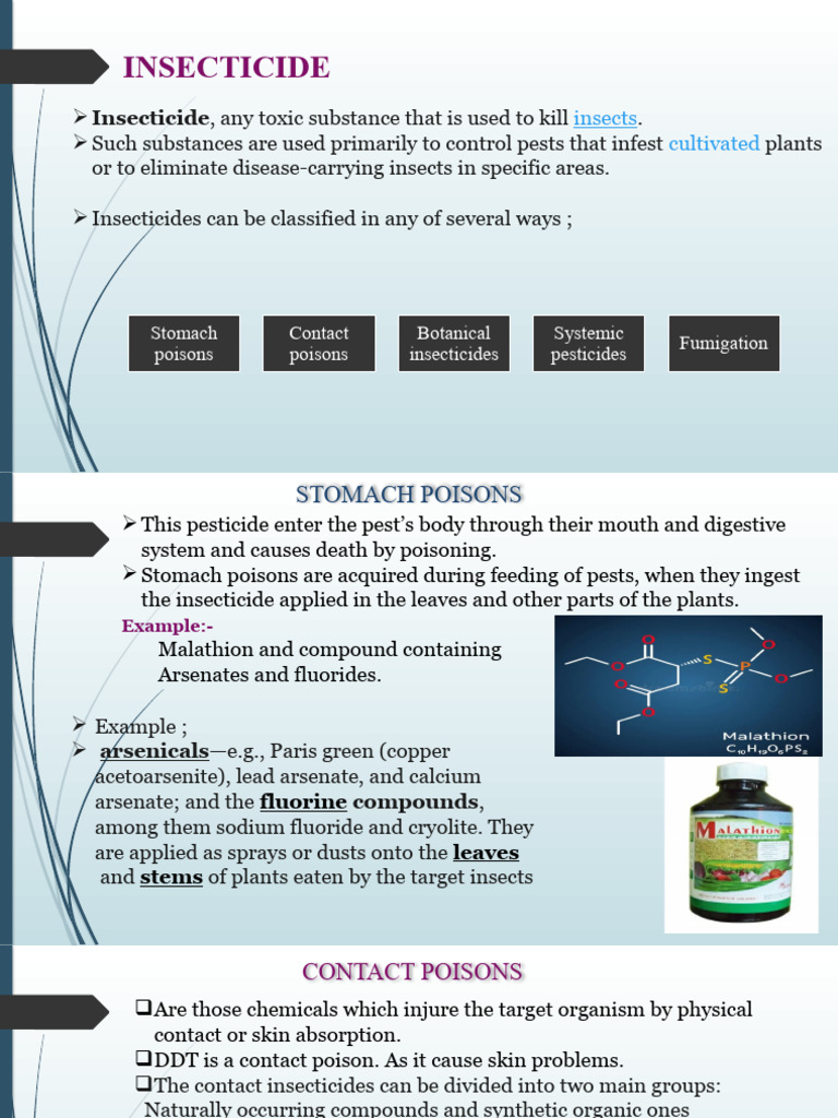 Insecticide Types and Examples | PDF | Insecticide | Pesticide