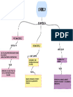 Mapa Conceptualcerebelo