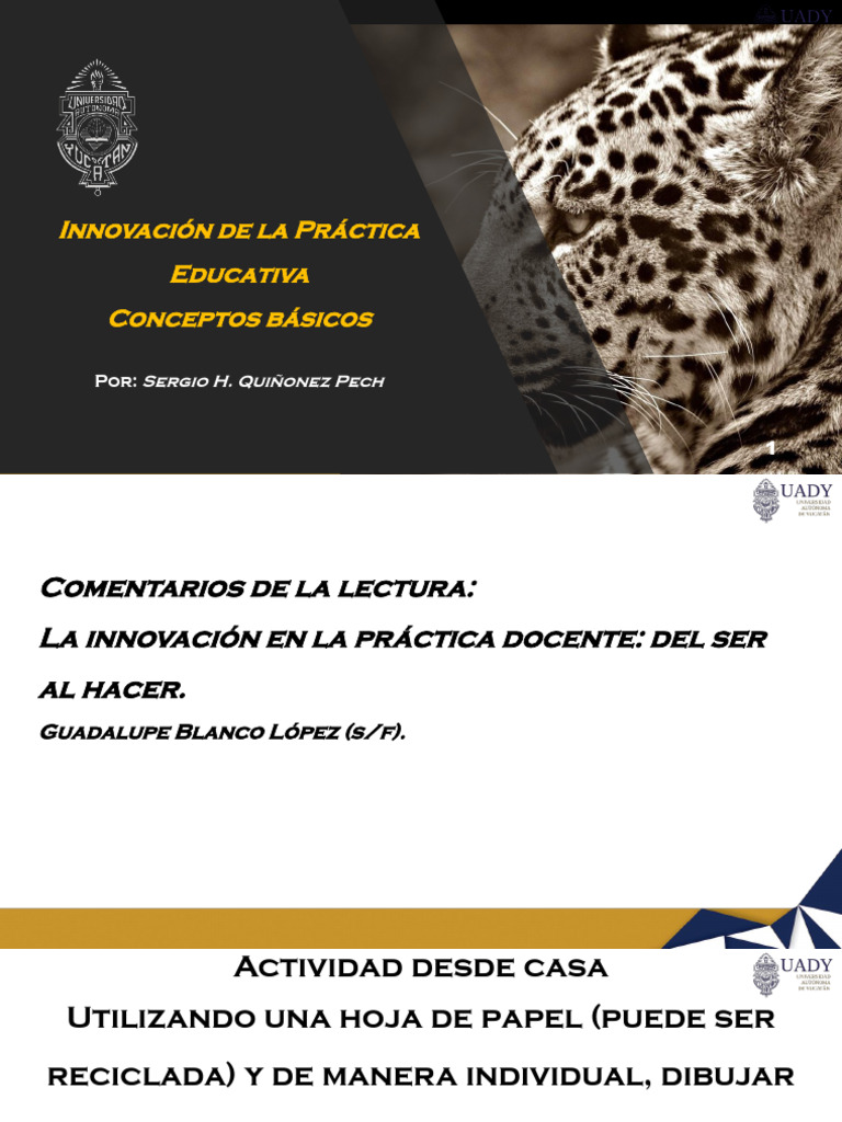Innovación en la Práctica Educativa | PDF | Innovación | Plan de estudios