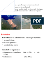 Estuários