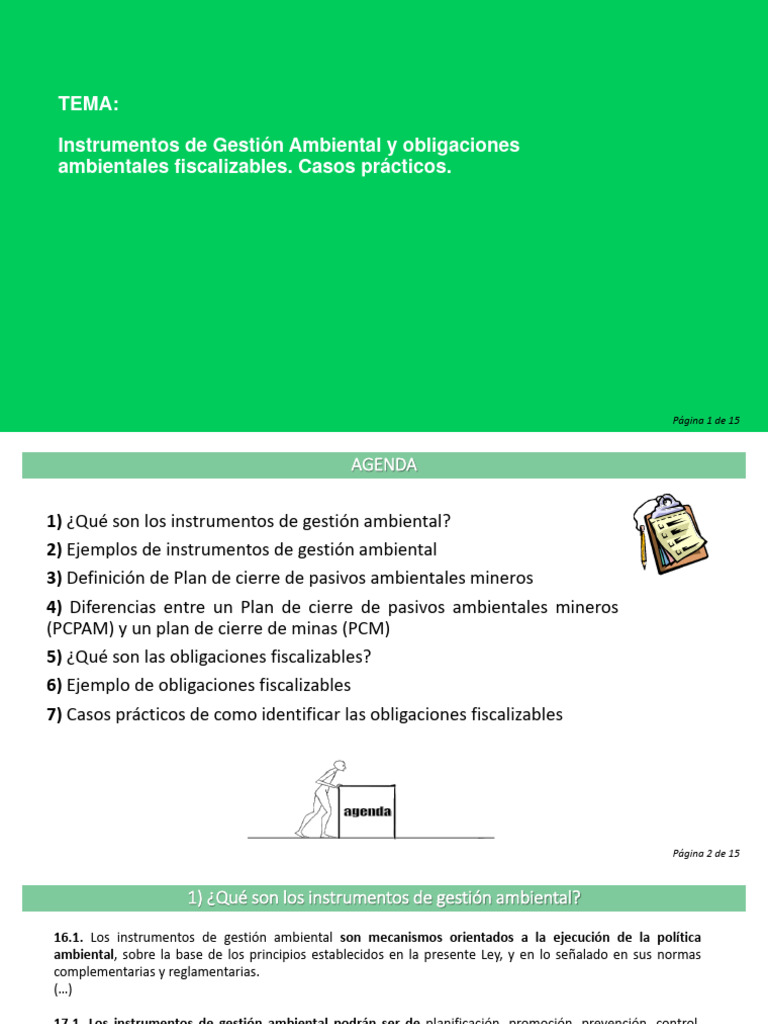 Instrumentos de Gestión Ambiental | PDF | Minería | Entorno natural