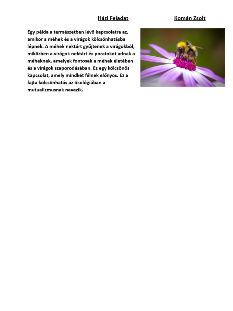Foldrajz HF | PDF