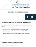 Pathogenic and Free Living Amoeba Sikatema Mike