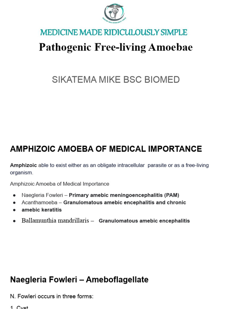 Free Living Amoeba Morphology