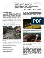 DIAGNOSE_ED_AMBIENTAL_8_ANO