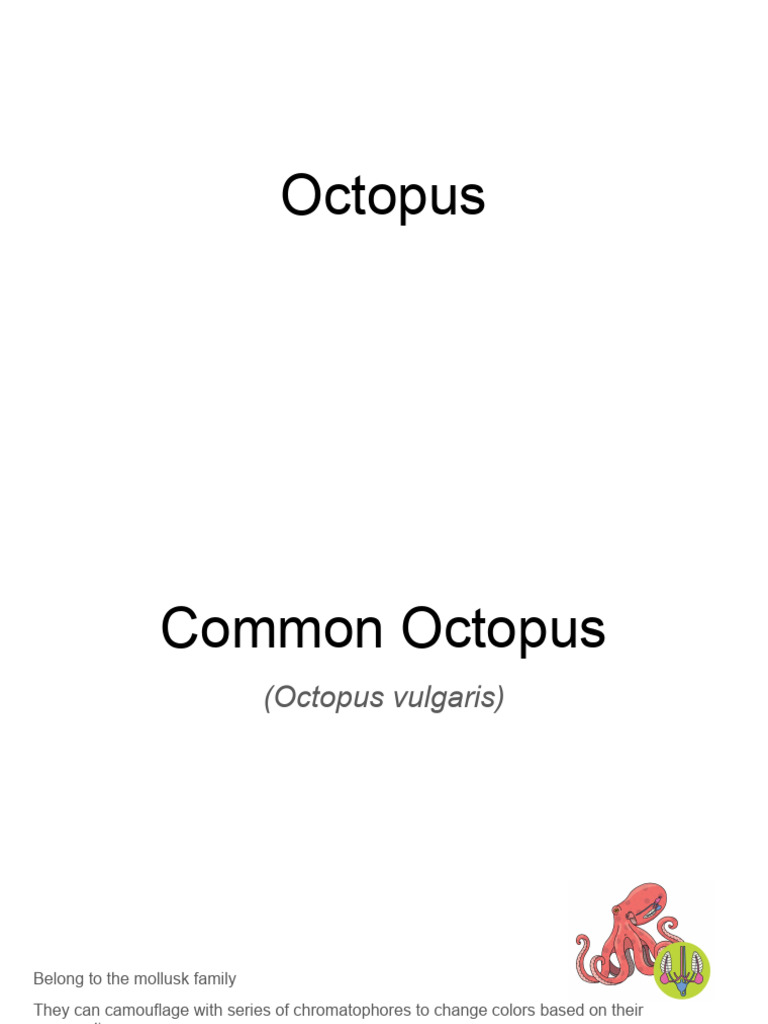 Lifespan and Biology of Octopus | PDF | Science & Mathematics | Young Adult