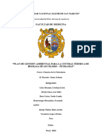 Informe Final Petramas