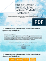 Identificación y Evaluación de Factores Físicos, Químicos y Biológicos - Paola Ramirez