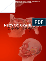 Estudo Dirigido Nervos Cranianos AV2