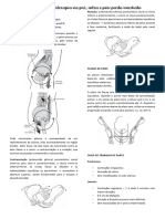 Atuação Da Fisioterapia No Pré e Pós Parto