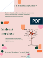 Sistema Nervioso y Endocrino