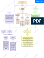 Mapa Conceptual - Sociedad Pluricultural