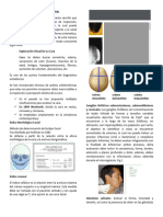 Temas Parcial Diagnostico II