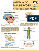 Banner - Anatomia Do SN para Impressão 03-11-22