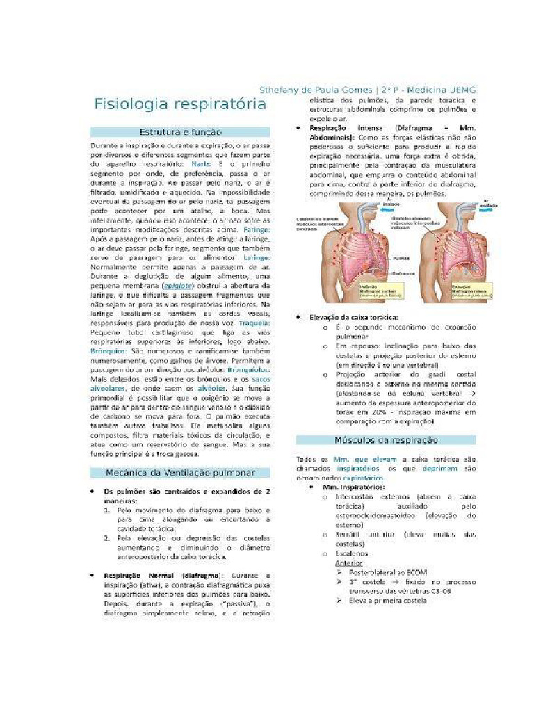 Resumos Trab Bioquímica | PDF