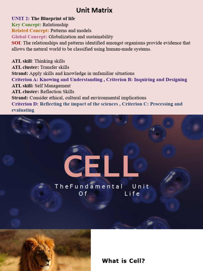 Cell Structure And Functions Pdf Endoplasmic Reticulum Chloroplast