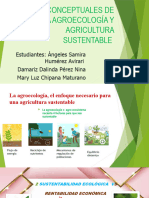 Bases Conceptuales de La Agroecología y Agricultura Sustentable 1