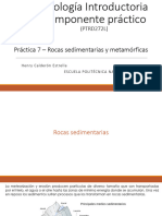 Clase - Práctica 7 - Rocas Sedimentarias y Metamórficas