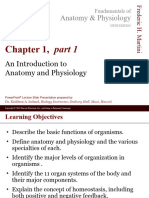 01-01 - An Introduction To Anatomy and Physiology