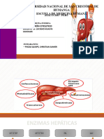 Patron Hepatocelular