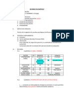 Modelo de Informe Pma