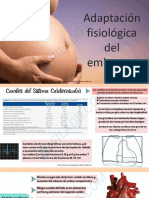 3 Variaciones Hematologicas Cambios Circulatorios Respiratorios y Digestivos Durante El Embarazo