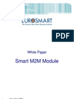 m2m Whitepaper Version Finale