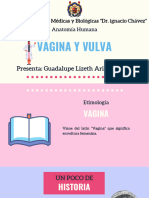 Anatomía de La Vagina y Vulva