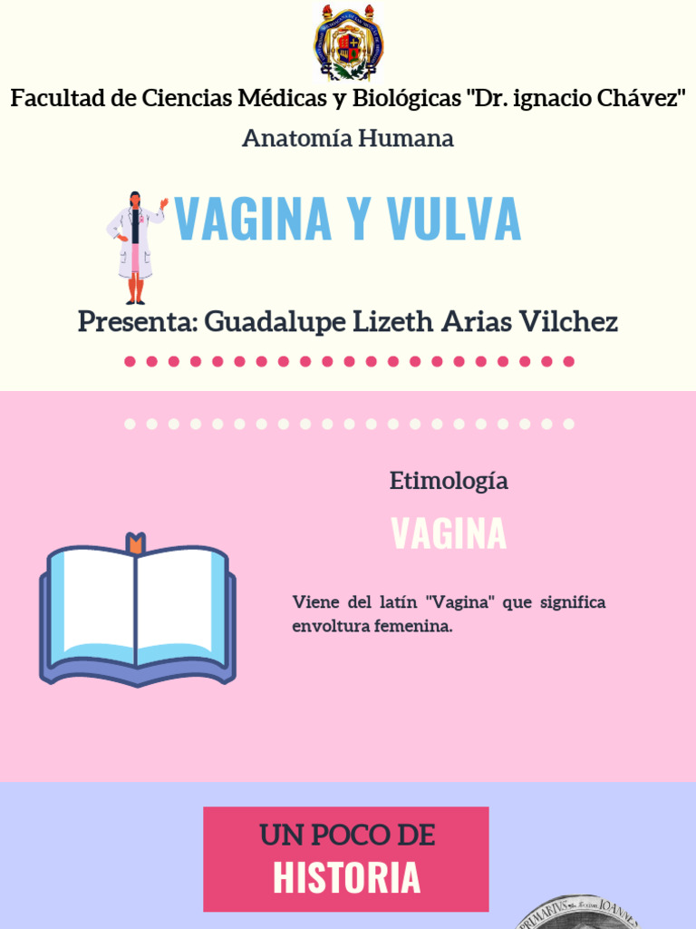 anatom-a-de-la-vagina-y-vulva-descargar-gratis-pdf-vagina-labios