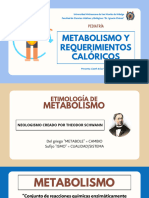 Metabolismo y Requerimientos Calóricos (1) - Fusionado