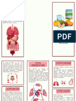 La Interrelación Entre Los Sistemas Corporales y La Nutrición (Tríptico)