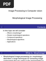 07 - Morphology