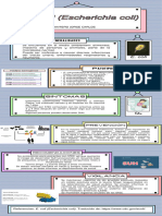 Escherichia Coli