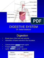 Lesson 1 - Digestive System 1