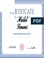 Certificate Mridul Somani