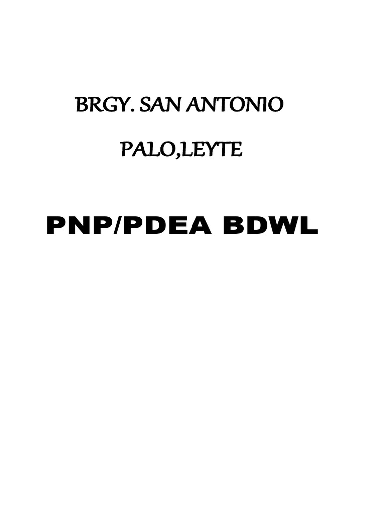 Barangay San Antonio BSPO Appointment | PDF