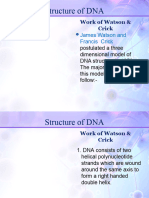 Lesson 10 Structure of DNA 2
