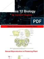 Class 12 Biology ALL Important Diagrams at One Place EKta Soni 1