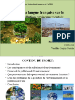 Proiect-Franceza 1
