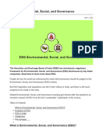 ESG-Environmental Social and Governance