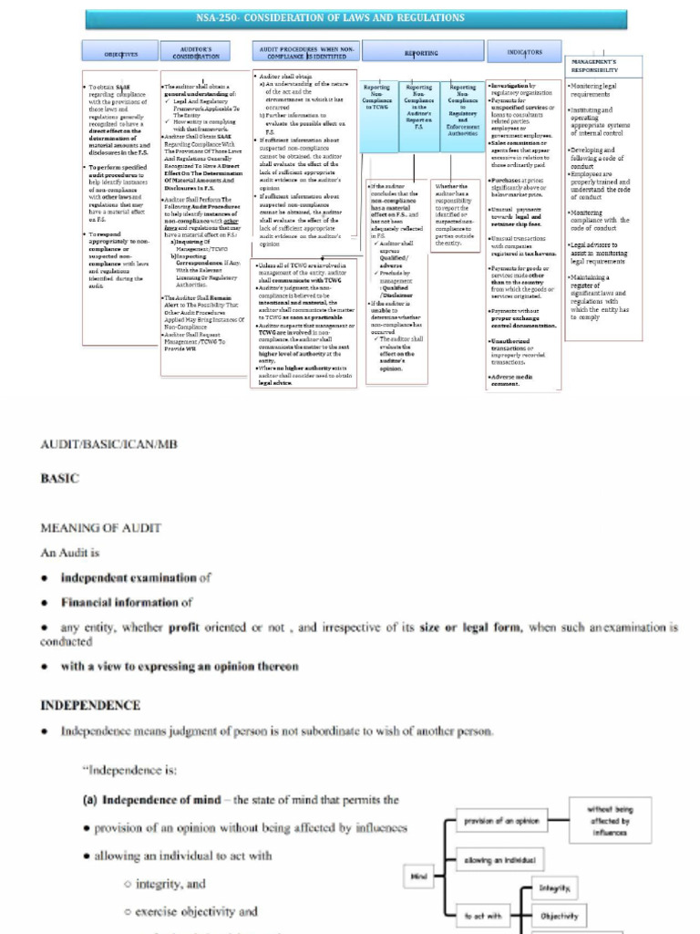 Audit Revision Class | PDF